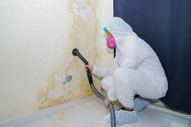 Best HVAC Mold Inspection and Cleaning in Bridge City, TX